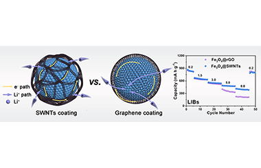 Monodispersed SWNTs Assembled Coating Layer as an Alternative to Graphene with Enhanced Alkali-ion Storage Performance 2021-0050